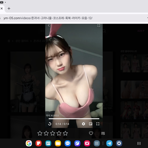 모델