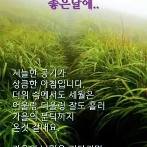 좋은 글 하나
